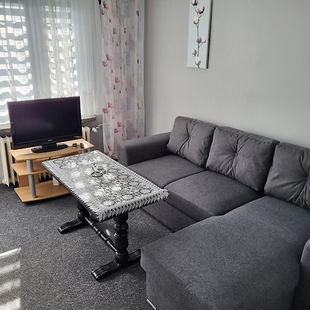 Apartament Sosnowy Z Parkingiem Торунь Экстерьер фото